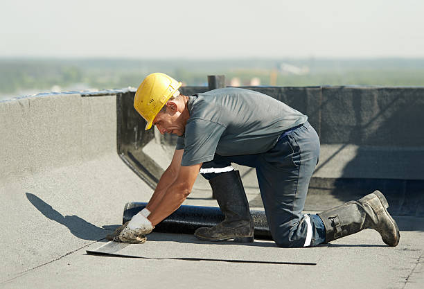 Best DIY Insulation Kits and Guidance in Edneyville, NC