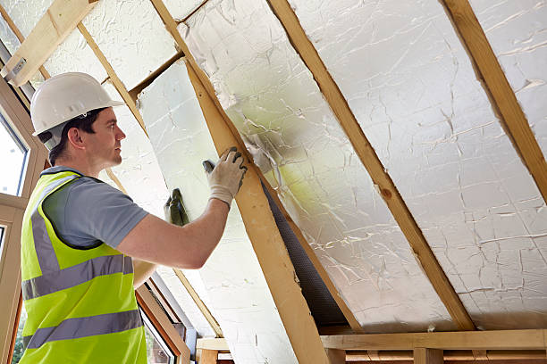 Best Insulation Maintenance and Repair in Edneyville, NC